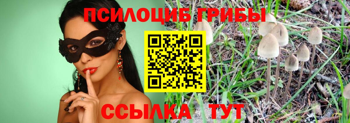 Псилоцибиновые грибы мицелий  Вход с VPN  Долгопрудный 